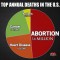 Abortion pie chart