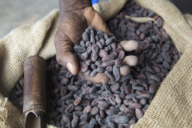 Chocolate Beans -- from Nestle's Flickr page