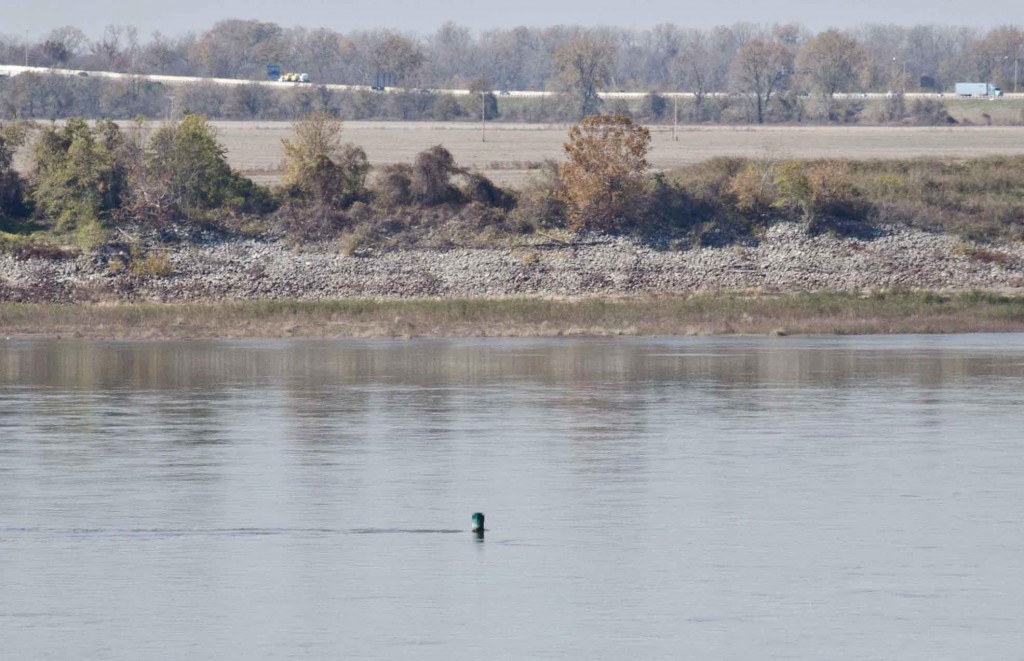 Photo of a green pipe sticking up out of the Mississippi river