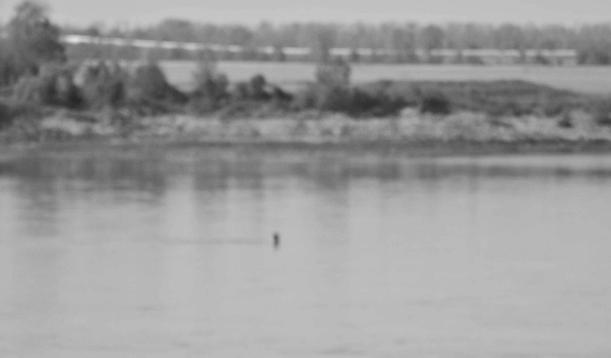 B&W Blurry Photo of a pipe in the Mississippi River that looks like a river monster