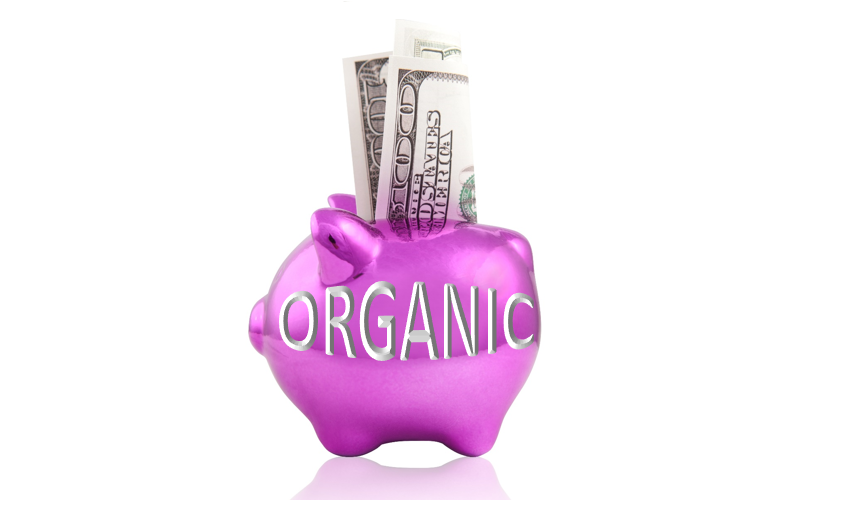 Organic piggy bank