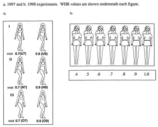 Waist-hip ratio examples