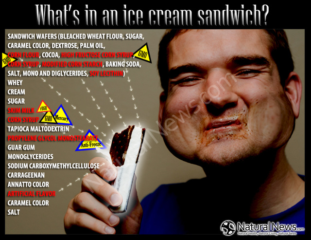 Infographic-What-is-in-an-ice-cream-sandwich