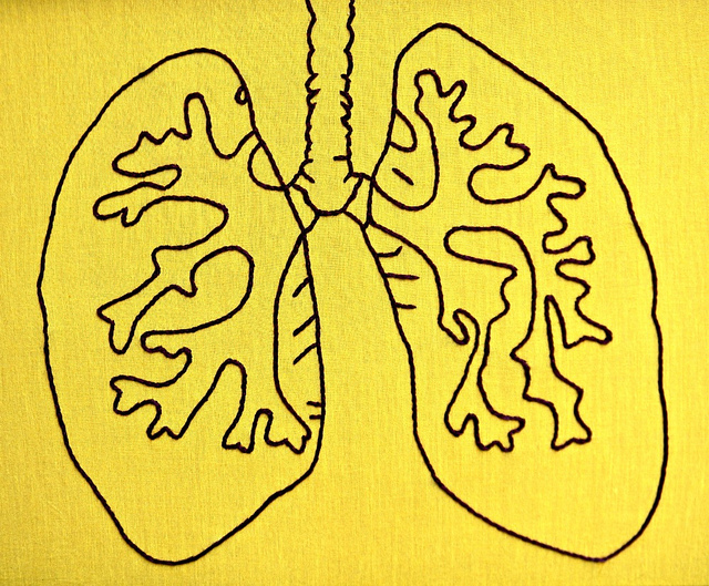 Embroidery lungs