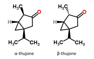 Structures from chemspider (alpha and beta)
