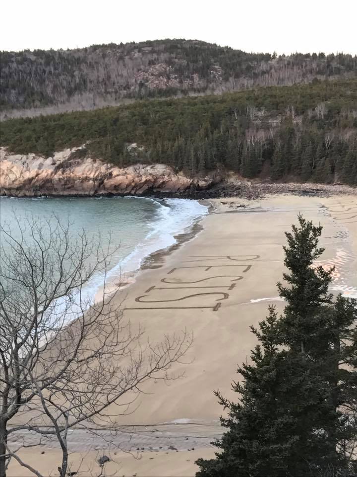 Resist in sand at Acadia National Park