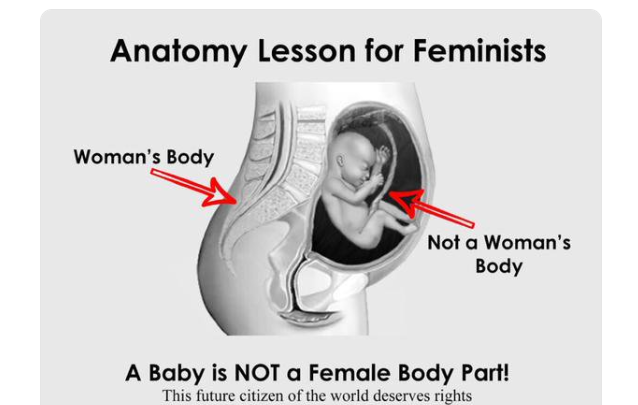 Anatomy Lesson for Feminists tweet screenshot