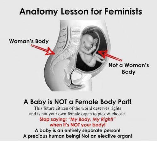 "Anatomy" Lesson for Feminists