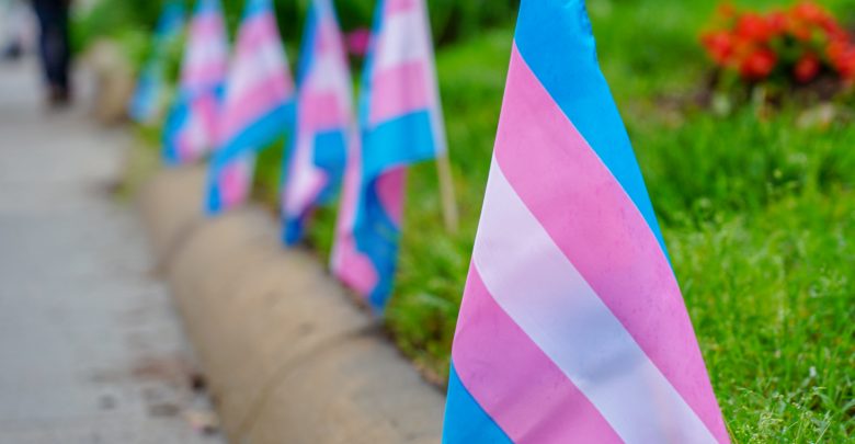 Trans pride flags lining a sidewalk