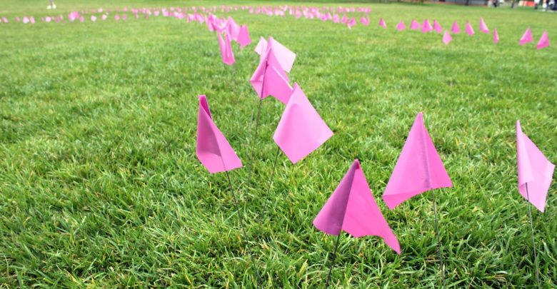Purple flags in a grassy field