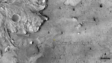 Photo of Perseverance Landing site on Mars labelled "Octavia E. Butler Landing"