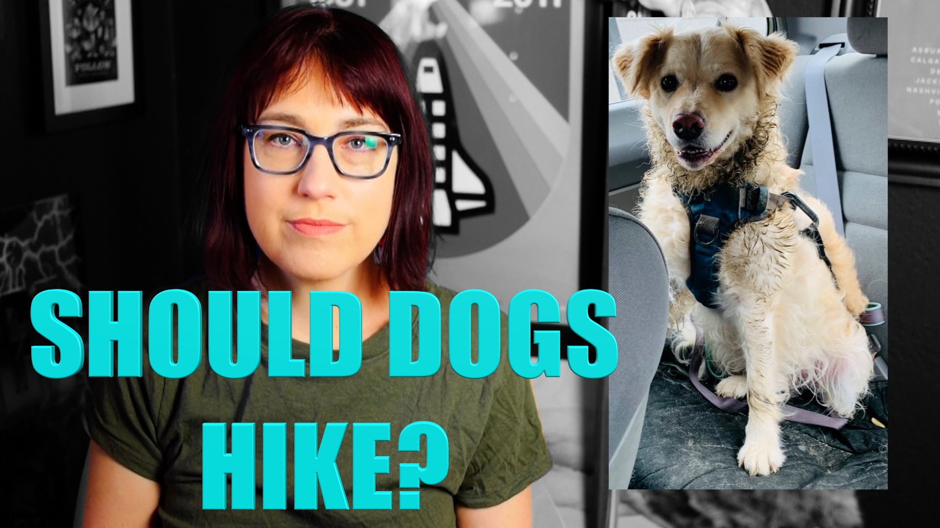 is-dog-pee-destroying-the-ecosystem-skepchick