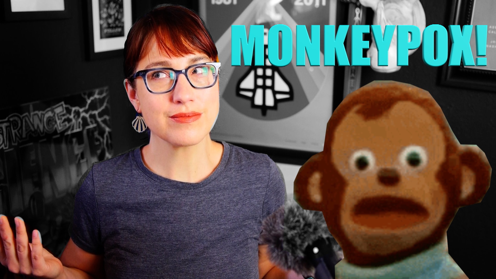 Monkey Puppet Meme Wallpapers - Monkey Looking Away Meme in 2023