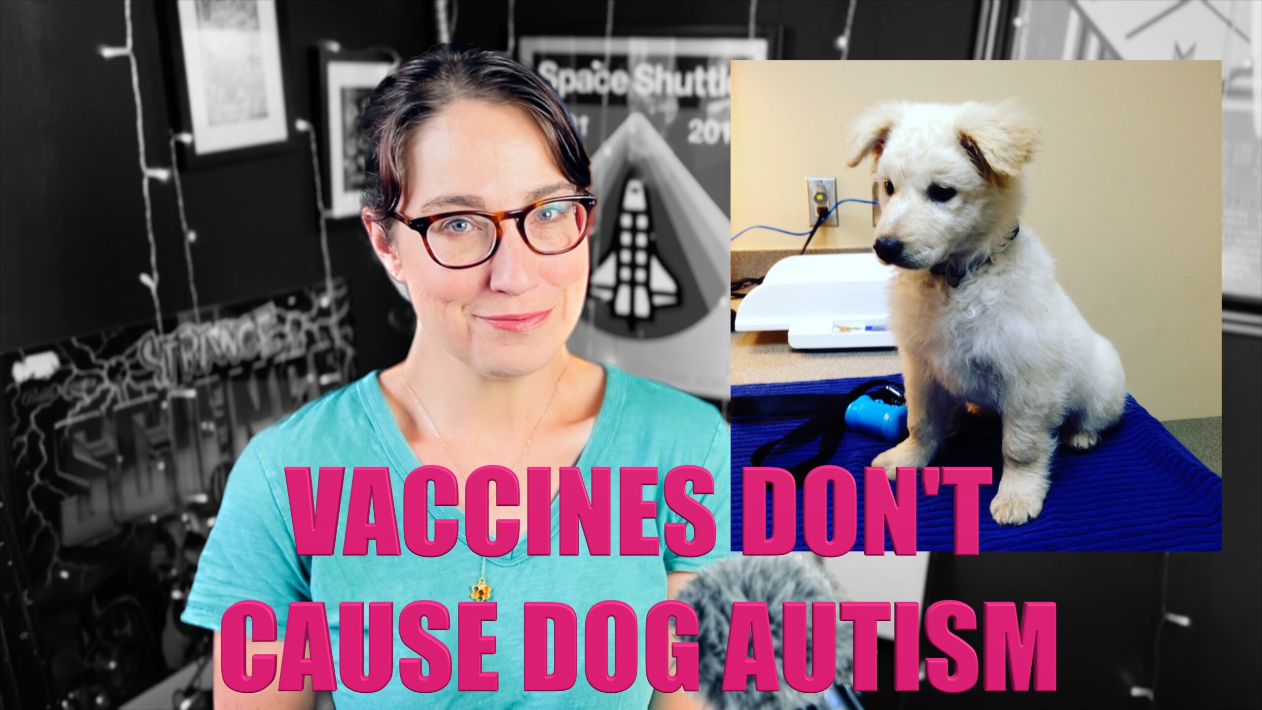 do-most-americans-fear-vaccines-for-dogs-skepchick