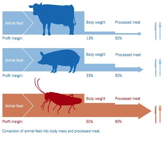 efficiency of food production